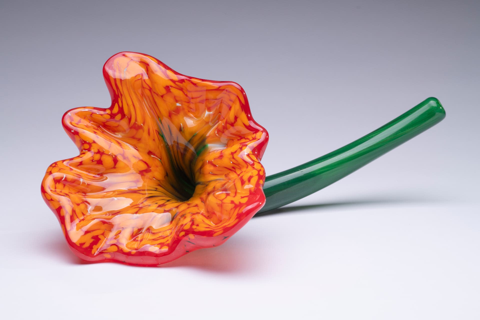 Full Bloom — 12th Grade
